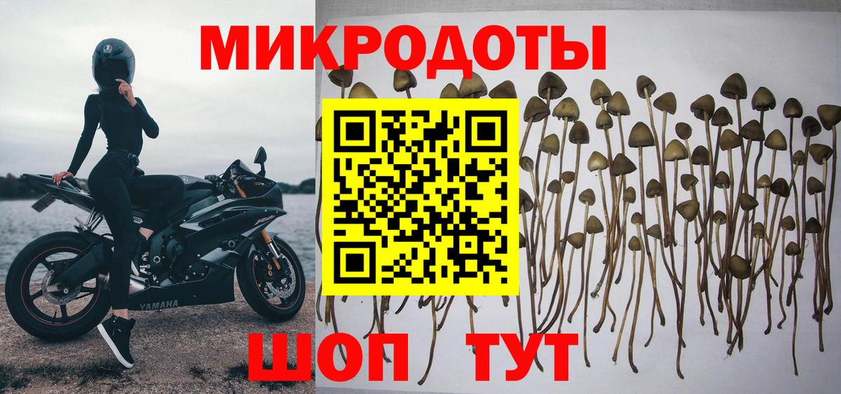 Элиста  Псилоцибиновые грибы ЛСД  купить закладку  Вход с VPN 
